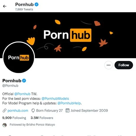 a36d1_pornhubtwitter.webp