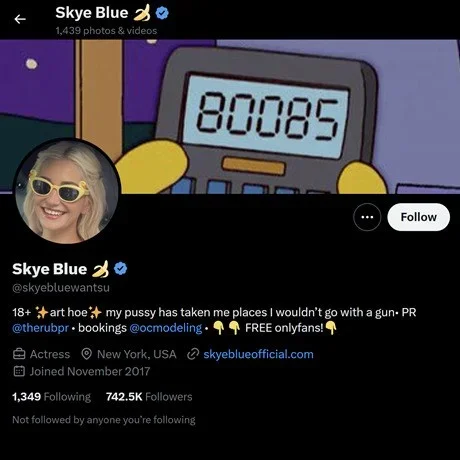 5414d_skye-blue-twitter-account-review.webp